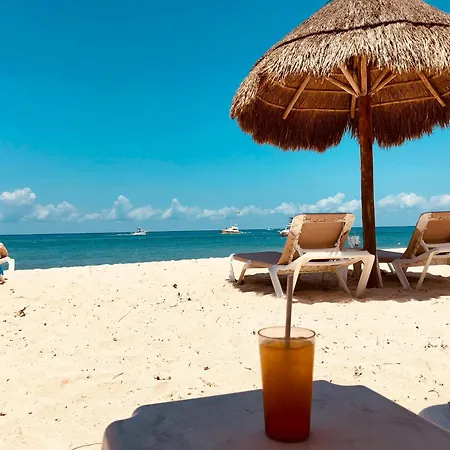 Planeta Sunny * Sluneční pobřeží